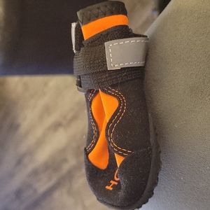 Shoe's for your pooches